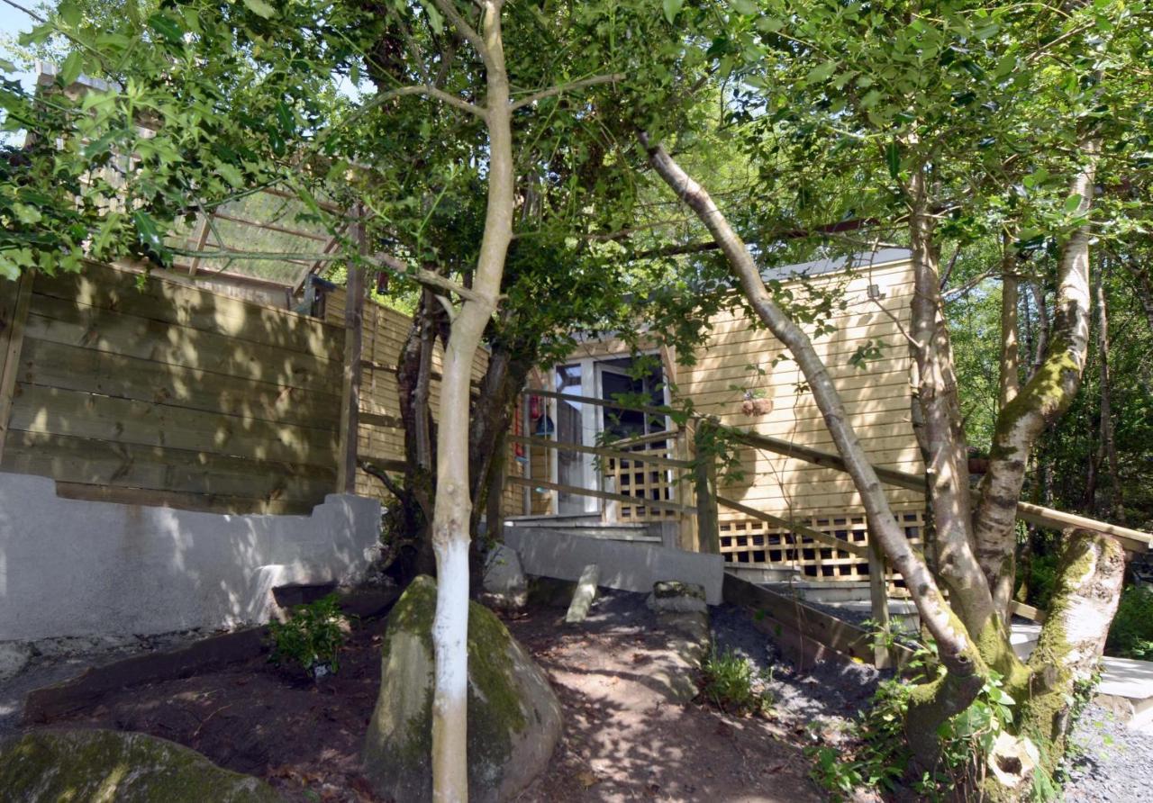 Tawny Lodge Westport Extérieur photo