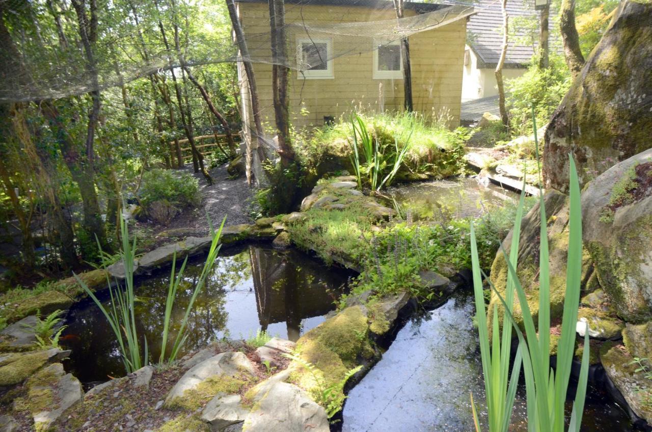 Tawny Lodge Westport Extérieur photo