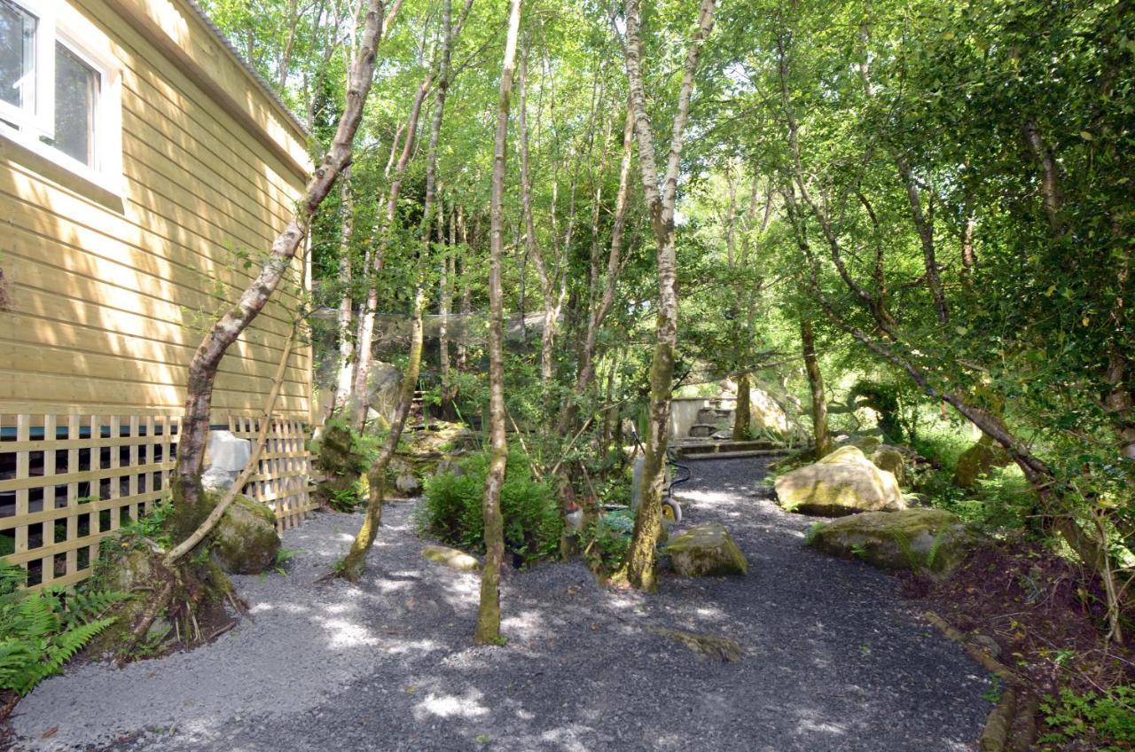 Tawny Lodge Westport Extérieur photo